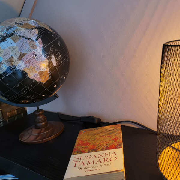 Lamp en aardbol gastenverblijf - Reconnect Lamp en aardbol gastenverblijf - Reconnect