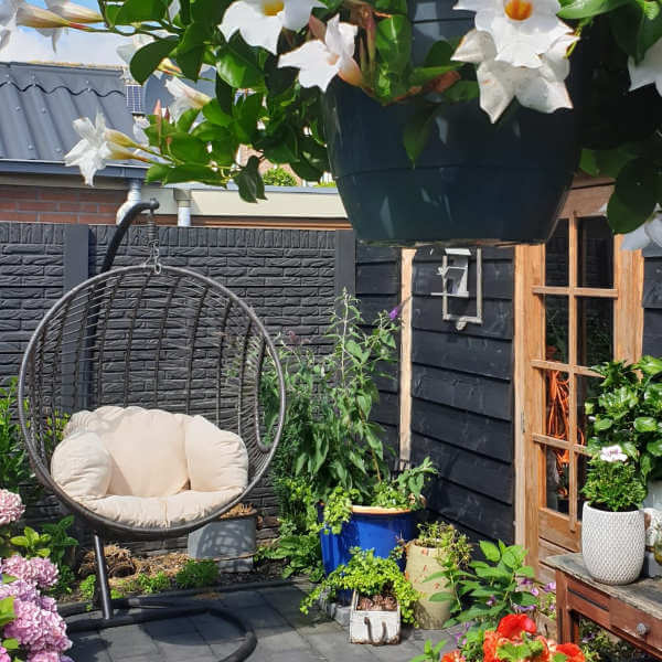 Tuin - Reconnect Tuin - Reconnect